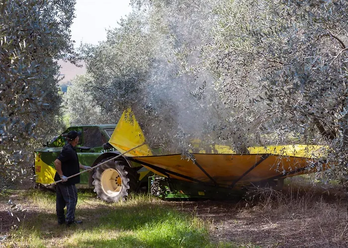 Κατάλυμα σε φάρμα Del Carmine Agriresort- Ex A3passi