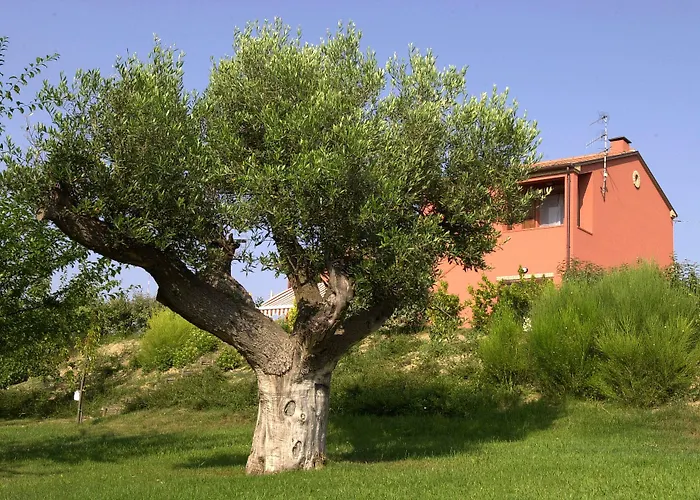 Del Carmine Agriresort- Ex A3passi Κατάλυμα σε φάρμα