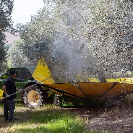Lantgård Del Carmine Agriresort- Ex A3passi