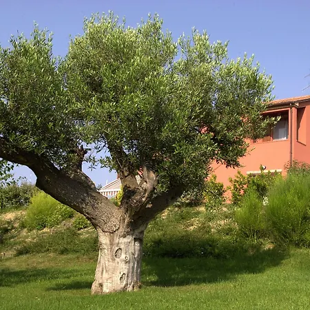 Del Carmine Agriresort- Ex A3passi Lantgård