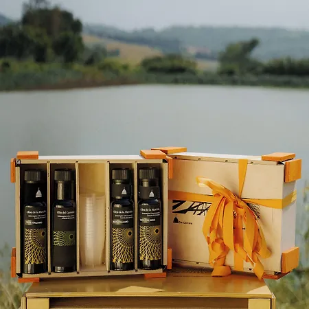 Del Carmine Agriresort- Ex A3passi *